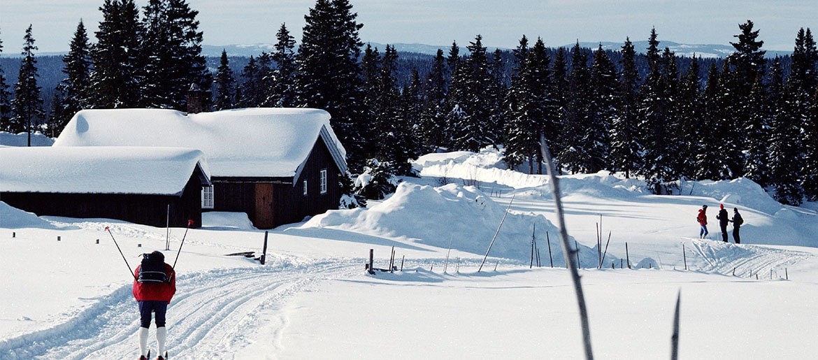T nndalen NCC